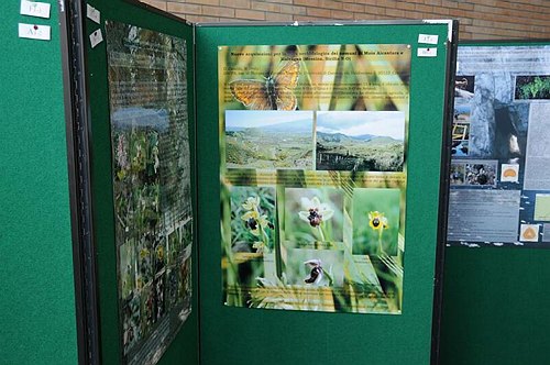 Universit� degli Studi del Molise