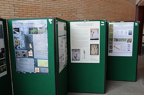 Universit� degli Studi del Molise