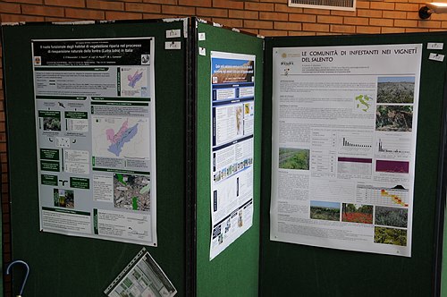 Universit� degli Studi del Molise