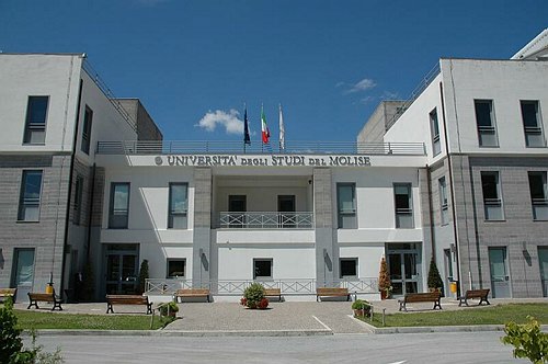 Open Day 2009 Isernia-Pesche 