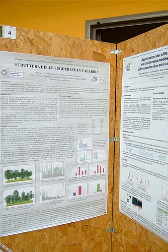 VII Convegno della Societ� Italiana di Selvicoltura ed Ecologia