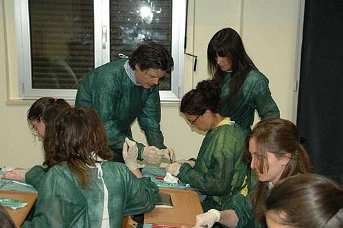 Facolt� di Medicina e Chirurgia