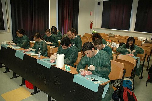 Facolt� di Medicina e Chirurgia