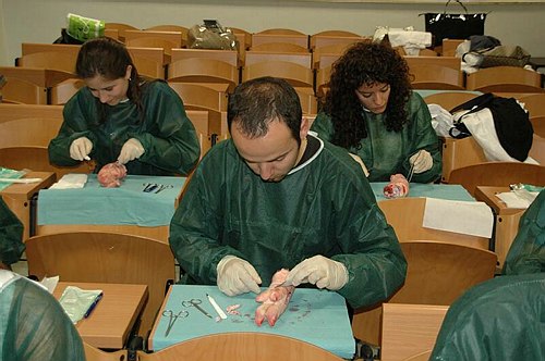 Facolt� di Medicina e Chirurgia