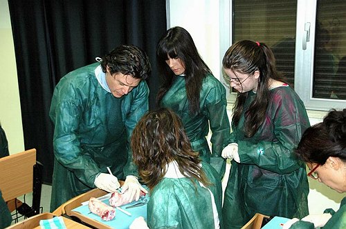 Facolt� di Medicina e Chirurgia