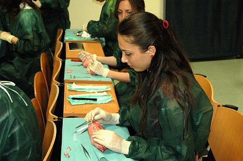 Facolt� di Medicina e Chirurgia