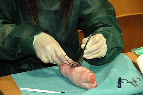 Facolt� di Medicina e Chirurgia