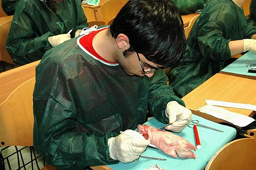 Facolt� di Medicina e Chirurgia