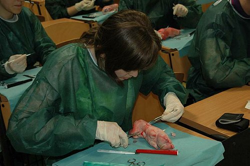 Facolt� di Medicina e Chirurgia