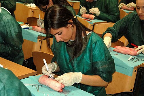 Facolt� di Medicina e Chirurgia