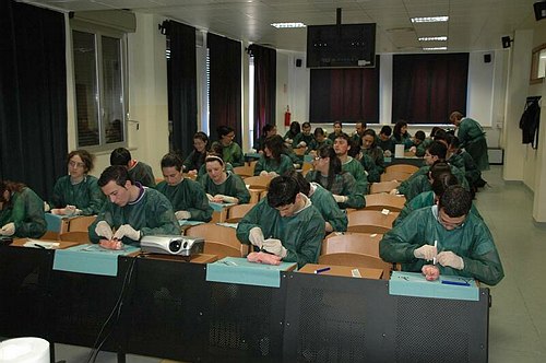 Facolt� di Medicina e Chirurgia