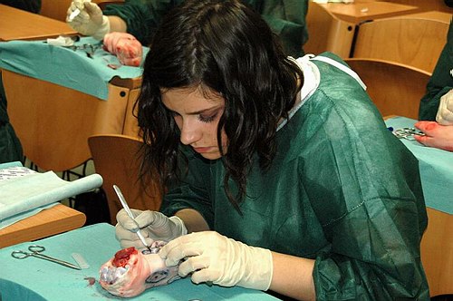 Facolt� di Medicina e Chirurgia