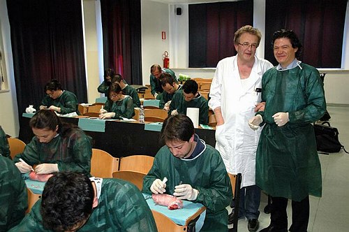 Facolt� di Medicina e Chirurgia