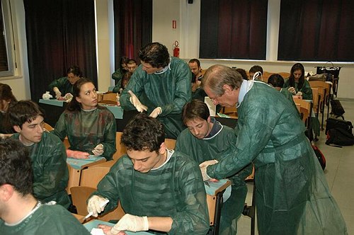 Facolt� di Medicina e Chirurgia