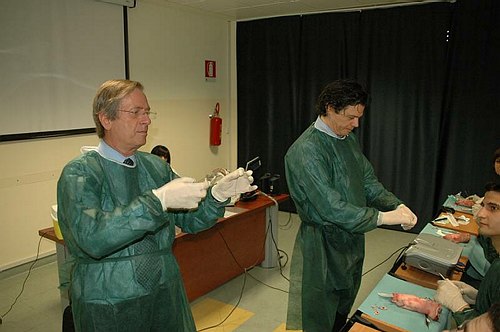 Facolt� di Medicina e Chirurgia