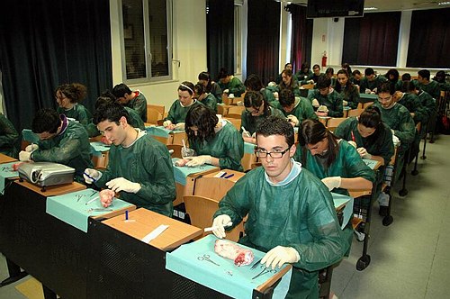 Facolt� di Medicina e Chirurgia