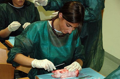 Facolt� di Medicina e Chirurgia