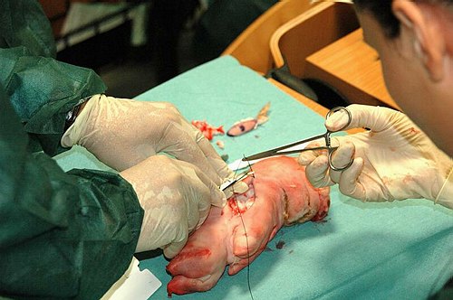 Facolt� di Medicina e Chirurgia