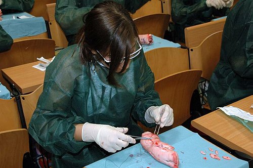 Facolt� di Medicina e Chirurgia