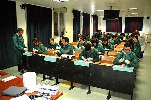 Facolt� di Medicina e Chirurgia