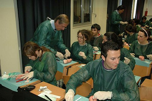 Facolt� di Medicina e Chirurgia