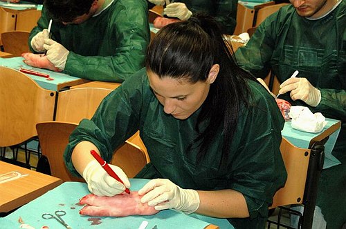 Facolt� di Medicina e Chirurgia