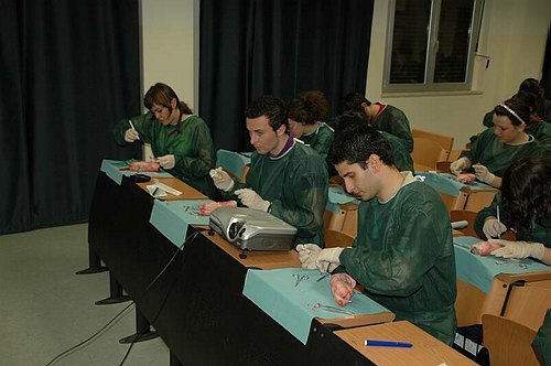 Facolt� di Medicina e Chirurgia