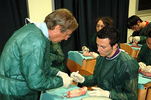 Facolt� di Medicina e Chirurgia