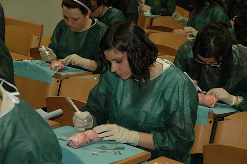 Facolt� di Medicina e Chirurgia