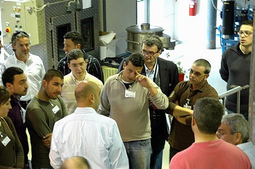 Dipartimento di Scienze Animali Vegetali e dell'Alimentazione