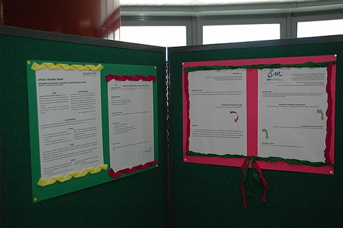 ''Il placement universitario e il futuro di un territorio'' 