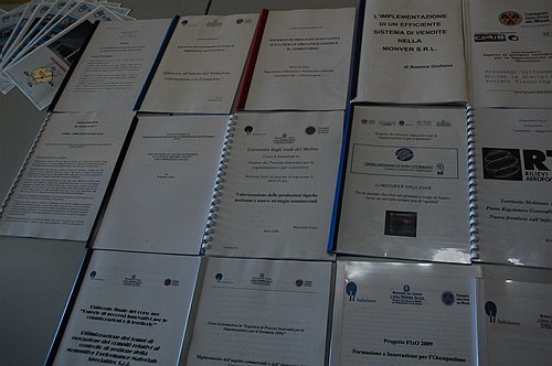 ''Il placement universitario e il futuro di un territorio'' 