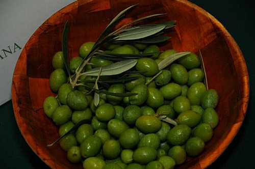 Universit� degli Studi del Molise