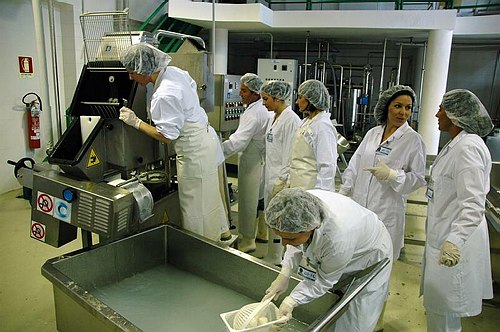 Universit� degli Studi del Molise