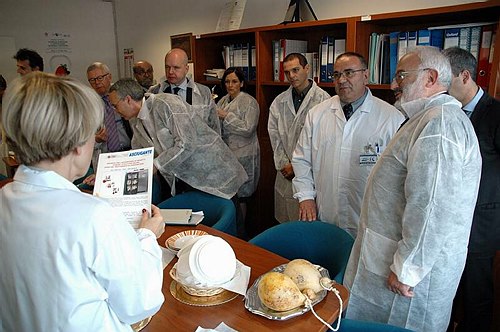 Universit� degli Studi del Molise