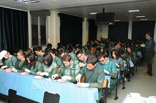 Facolt� di Medicina e Chirurgia