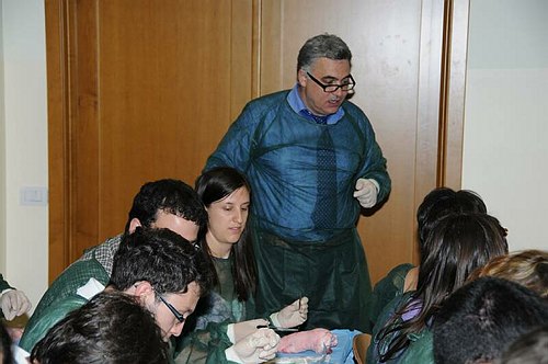 Facolt� di Medicina e Chirurgia