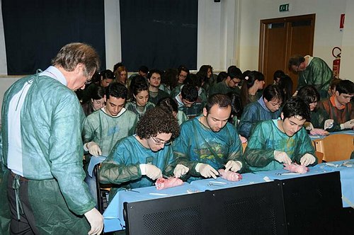 Facolt� di Medicina e Chirurgia