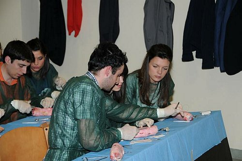 Facolt� di Medicina e Chirurgia