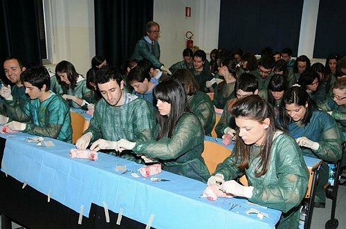 Facolt� di Medicina e Chirurgia