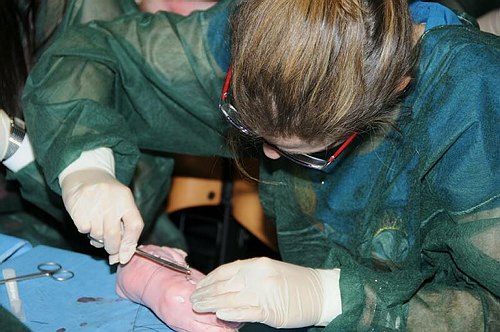 Facolt� di Medicina e Chirurgia