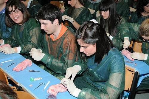 Facolt� di Medicina e Chirurgia