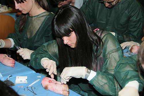 Facolt� di Medicina e Chirurgia