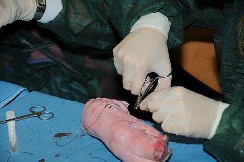 Facolt� di Medicina e Chirurgia