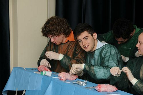 Facolt� di Medicina e Chirurgia