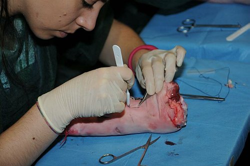 Facolt� di Medicina e Chirurgia