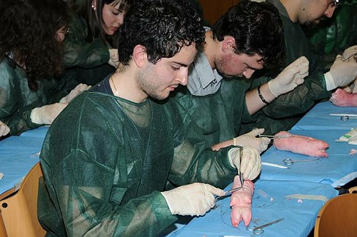 Facolt� di Medicina e Chirurgia