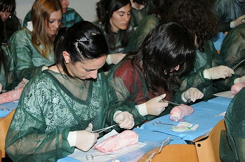 Facolt� di Medicina e Chirurgia