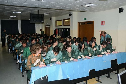 Facolt� di Medicina e Chirurgia