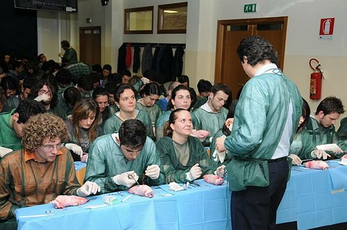 Facolt� di Medicina e Chirurgia